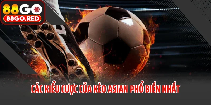 Kèo Asian Là Gì? Tại Sao Lại Thu Hút Dân Cá Cược? 3 Các kiểu cược của kèo Asian phổ biến nhất