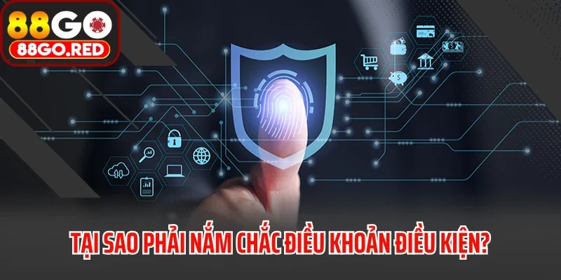 Tại sao phải nắm chắc điều khoản điều kiện?